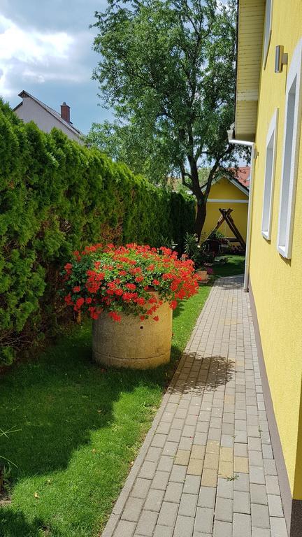 블로톤퓌레드 Tuenderlak Vendeghaz 아파트 외부 사진